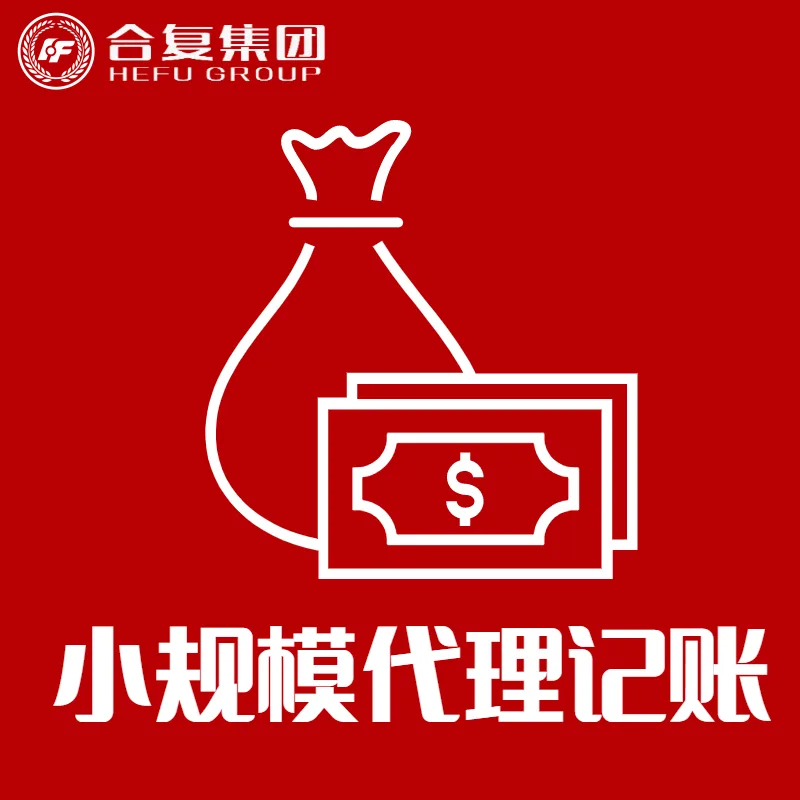 <strong>小规模代理记账</strong>