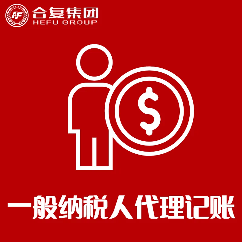 <strong>一般纳税人代理记账</strong>