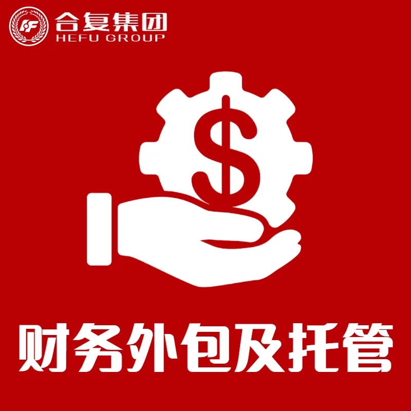 <strong>财务外包及托管</strong>