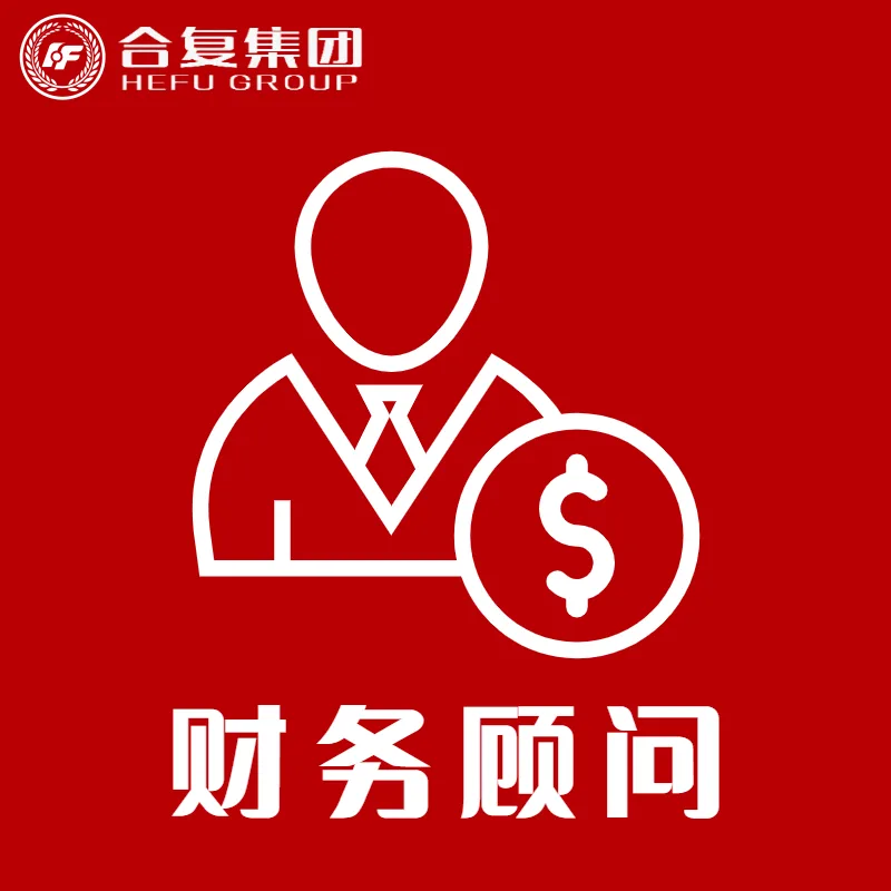 <strong>财务顾问</strong>