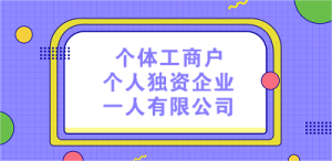 个体工商户、个人独资企业、一人有限公司有什么区别？