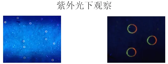 速看,发票防伪措施新政来啦(images 2)