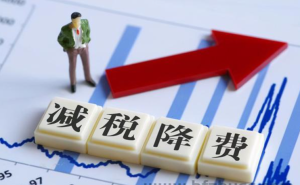 小规模纳税人享受减免税政策如何填写申报表