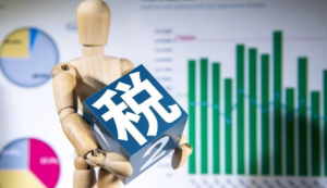 一般纳税人与小规模纳税人的区别