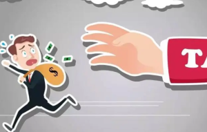 都在说公司需要报税，那报税包含了哪些范围呢?