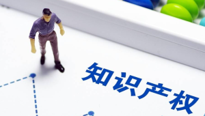 知识产权应该如何申请保护呢？